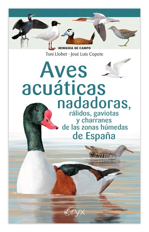 Texto alternativo