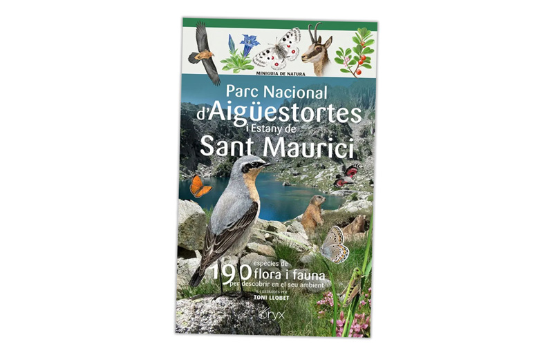 miniguies de camp dels ocells aquàtics