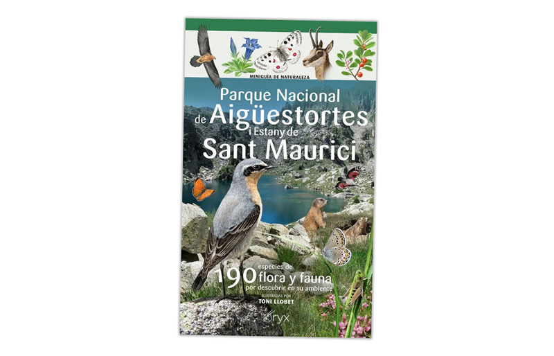 miniguies de camp dels ocells aquàtics
