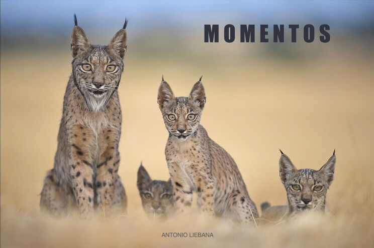 MOMENTOS