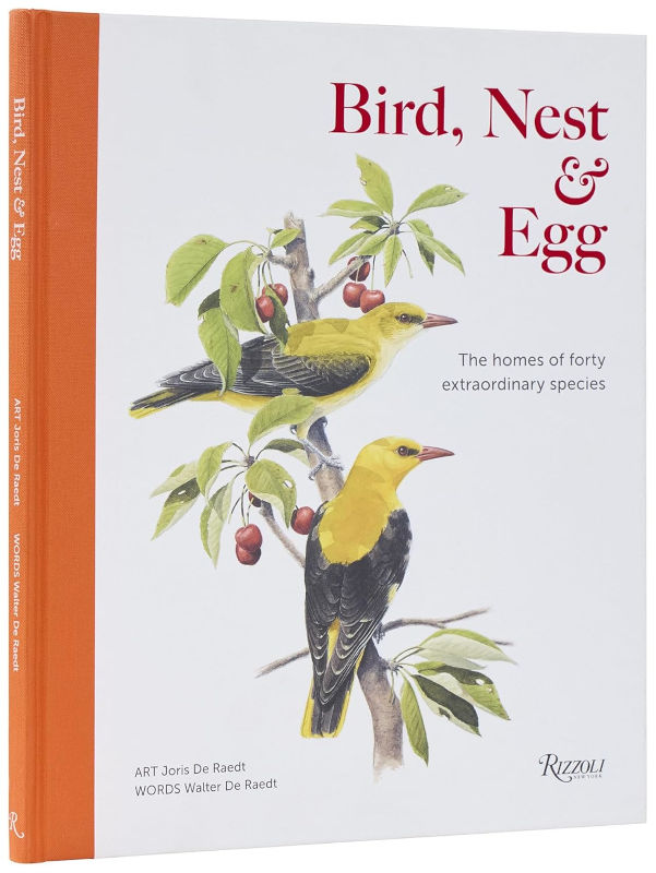 BIRD NEST & EGG