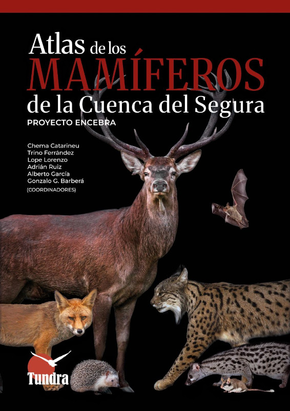 imagen imagen