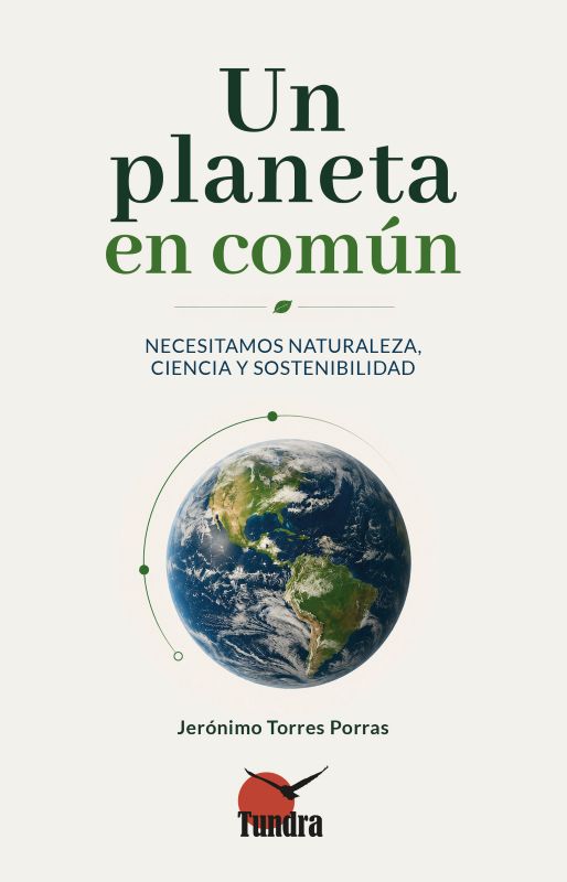 imagen imagen