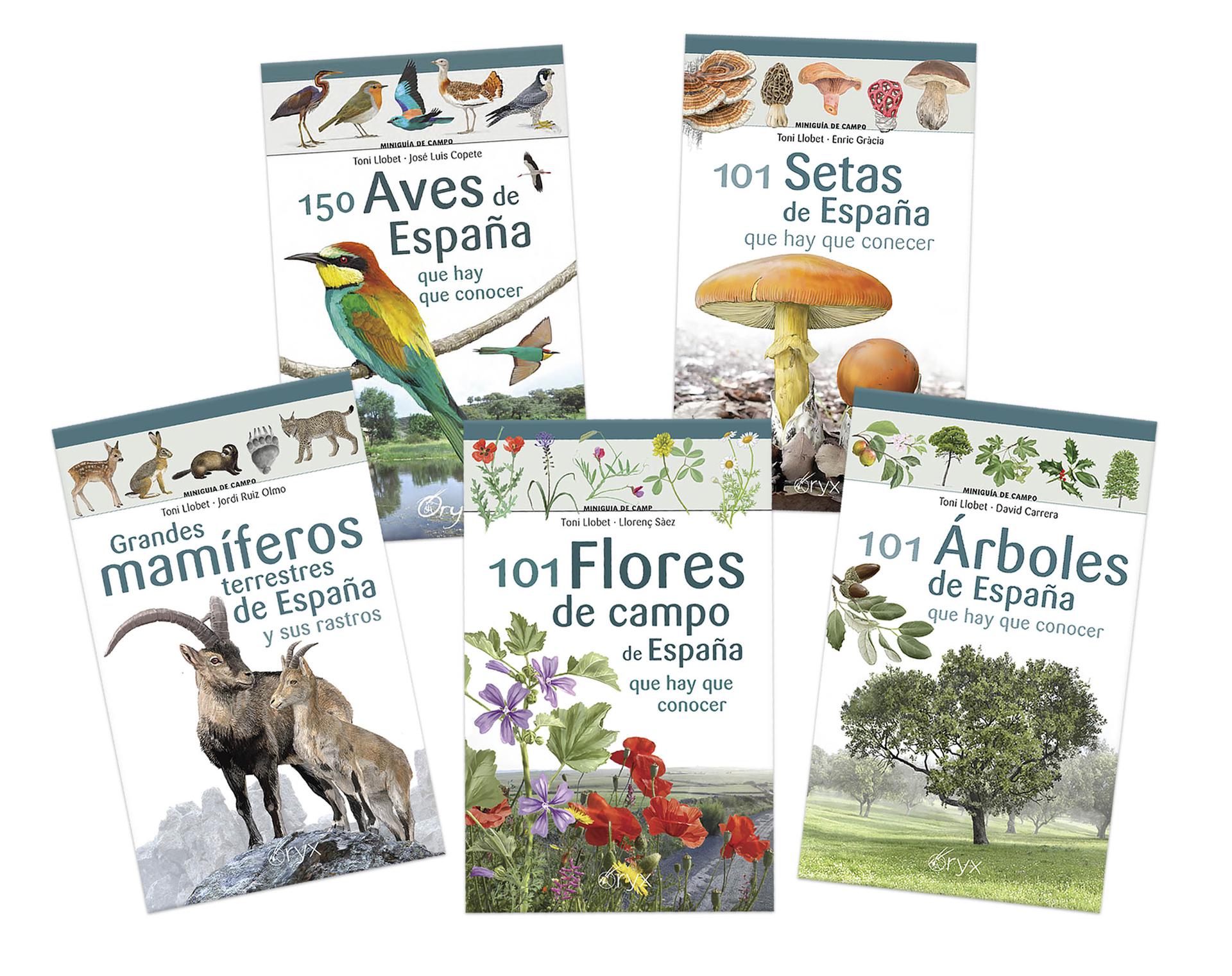 Texto alternativo