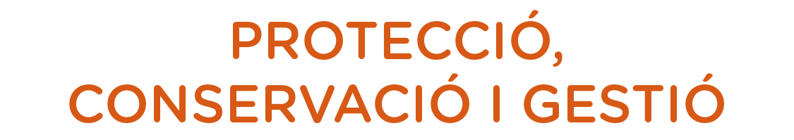 Texto alternativo