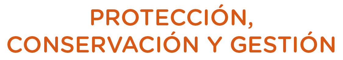 Texto alternativo