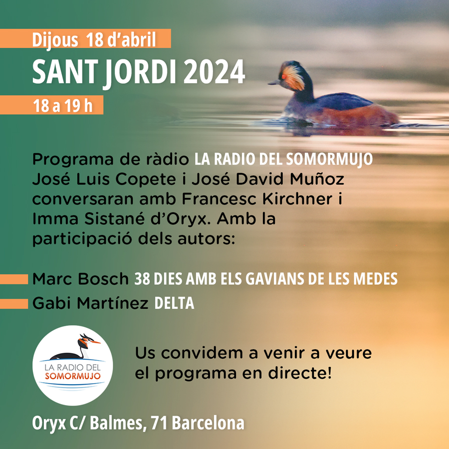 StJordi