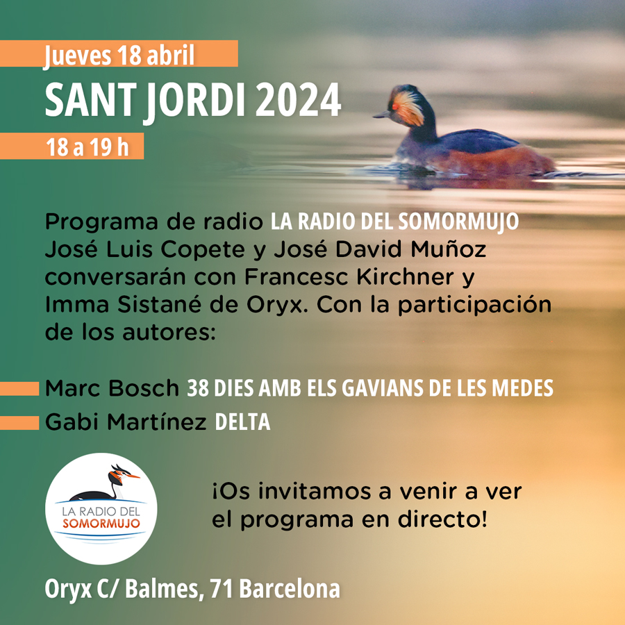 StJordi