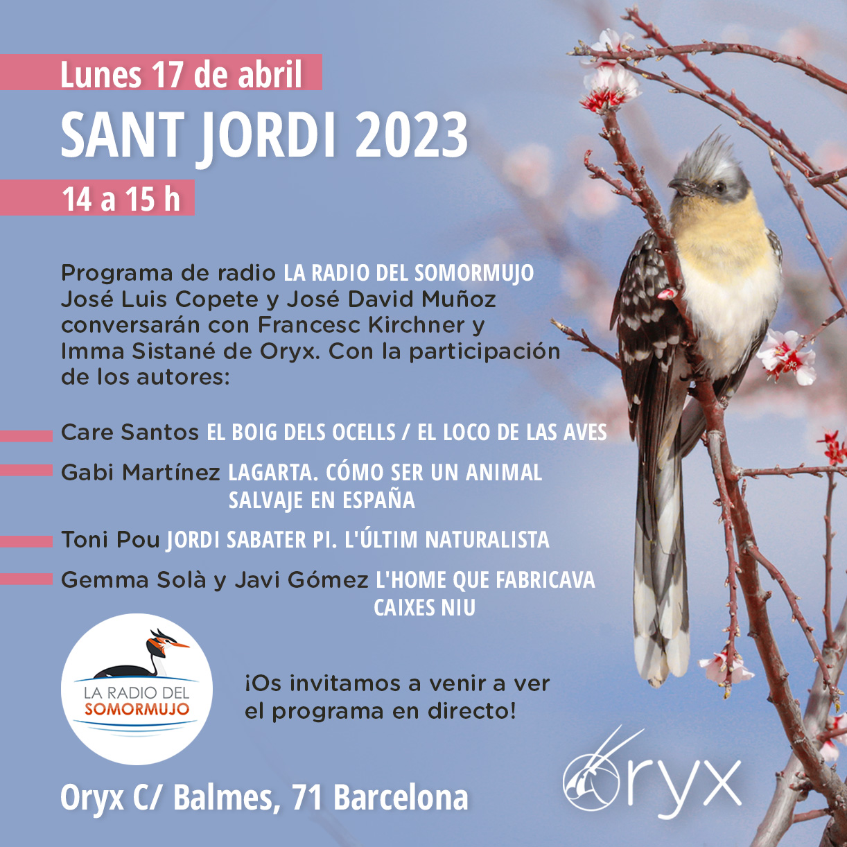 StJordi