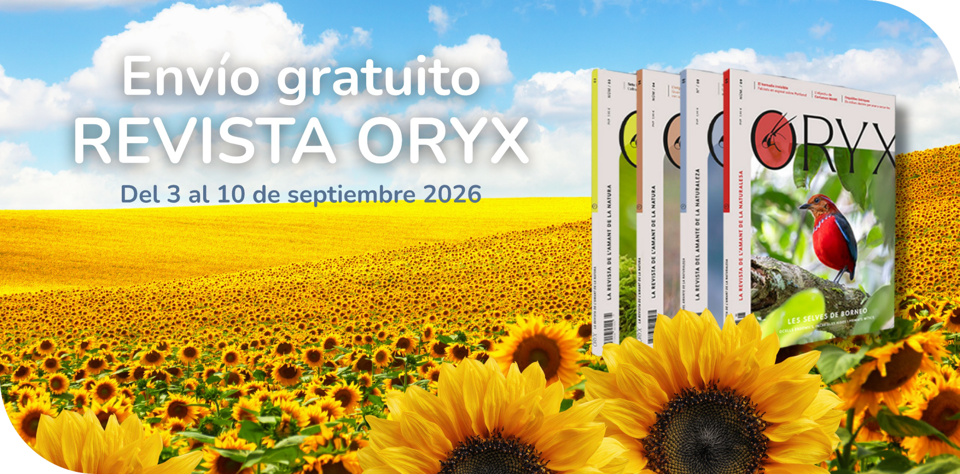 lectures d'estiu 2026 Oryx