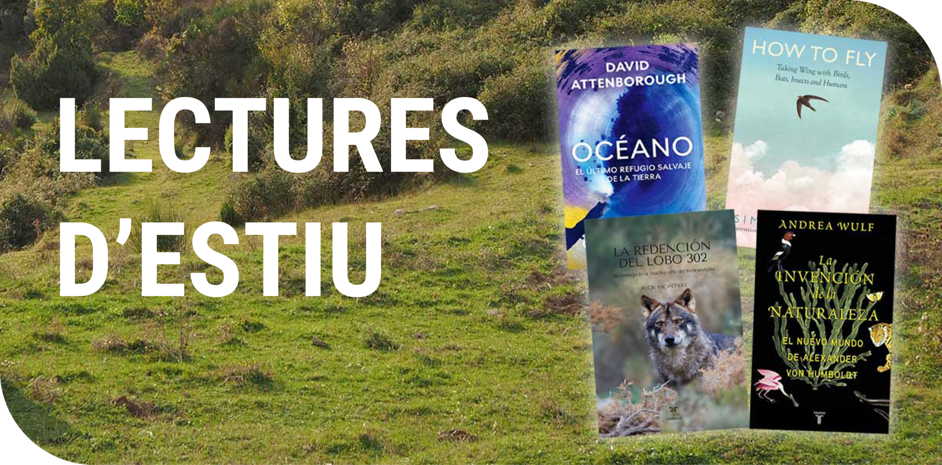 lectures d'estiu 2026 Oryx