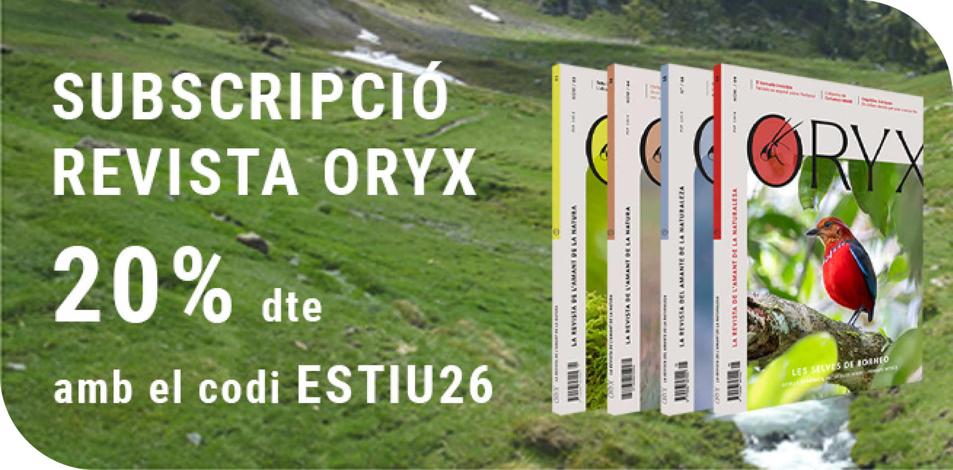 descompte subscripció revista ORYX