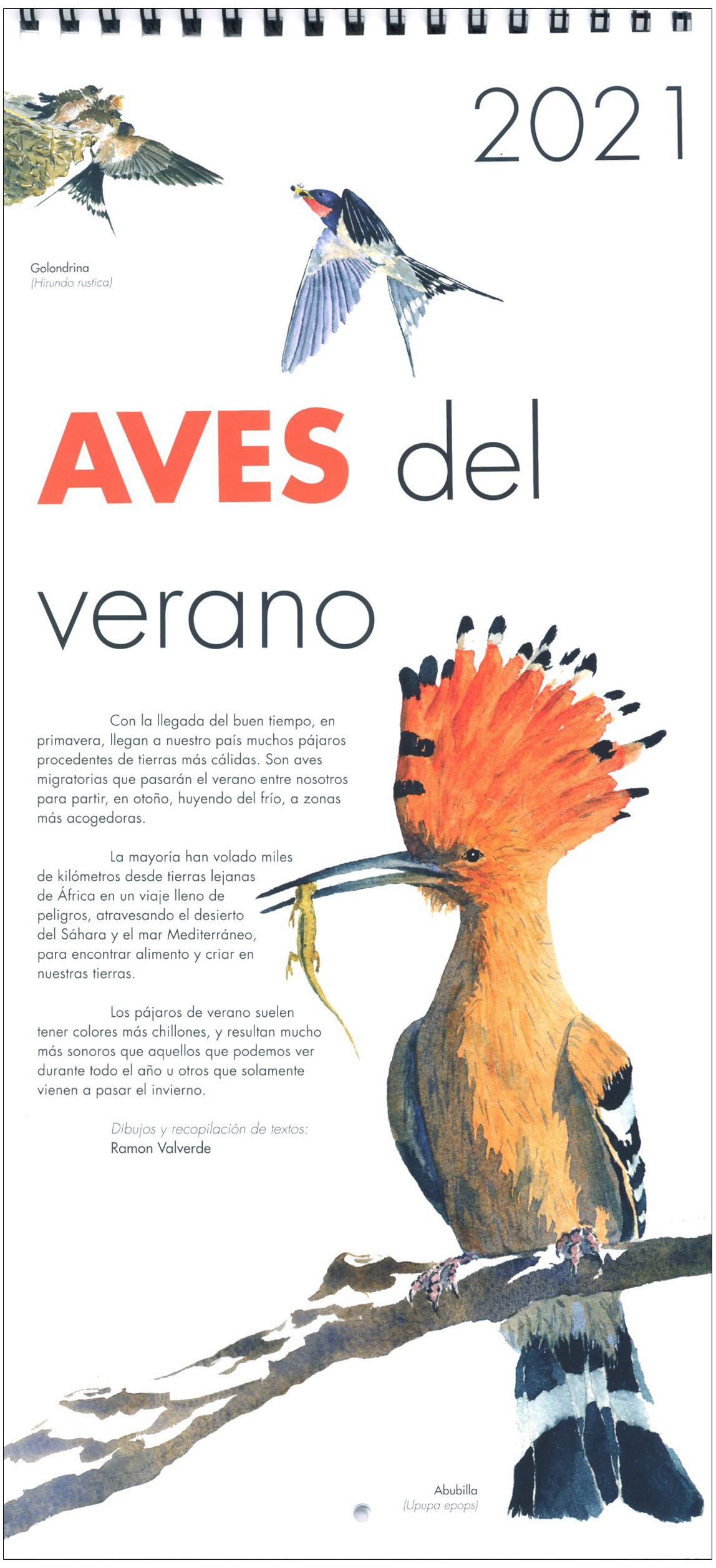 Texto alternativo