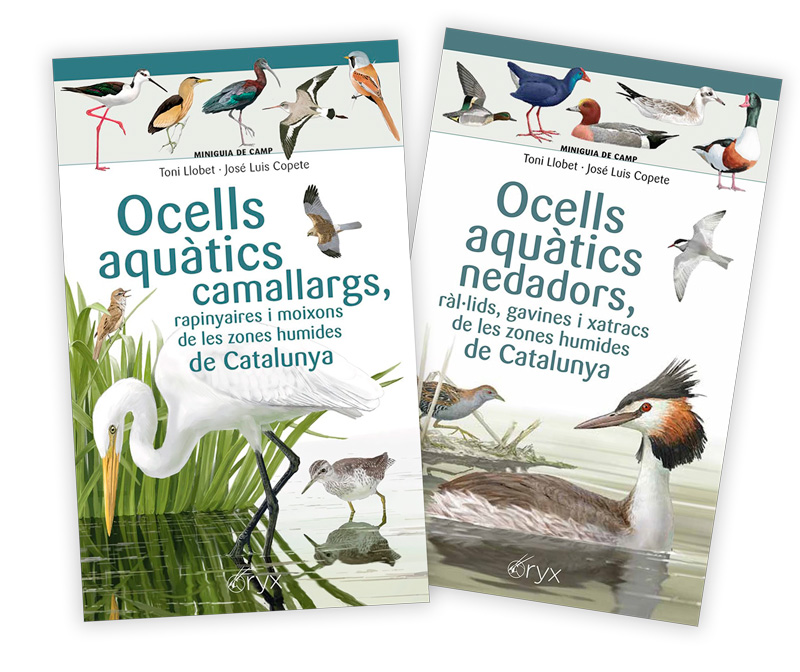 miniguies de camp dels ocells aqutics