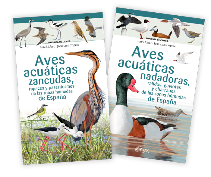 miniguas de campo de aves acuticas