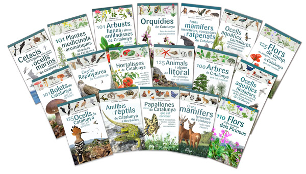 collecci de miniguies de camp