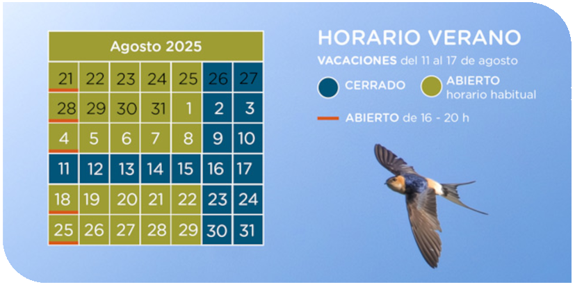 horari estiu Oryx 2025