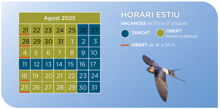 horari estiu Oryx 2025