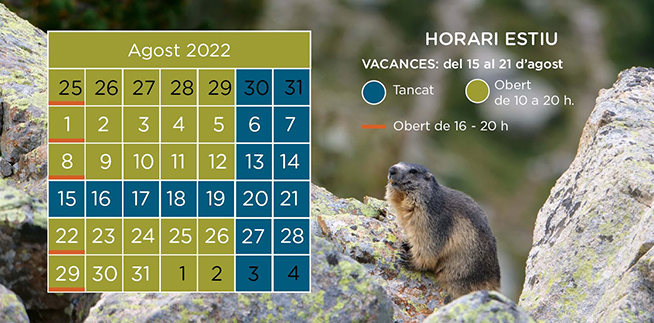 HORARI ESTIU 2022