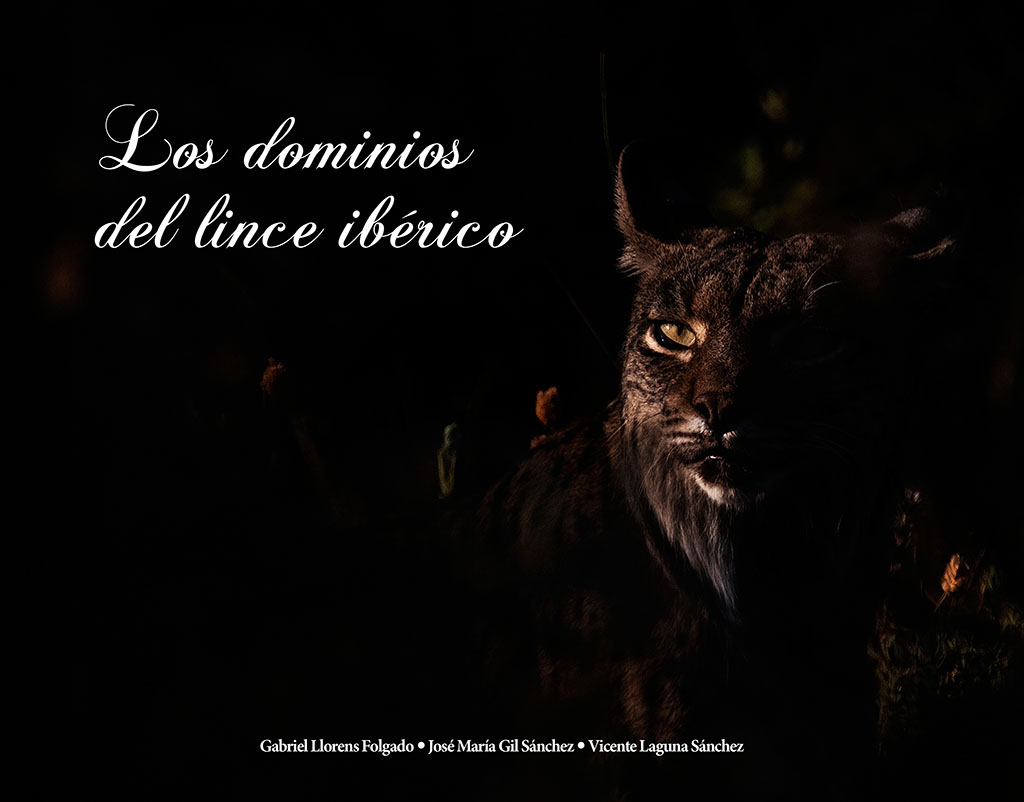 Texto alternativo