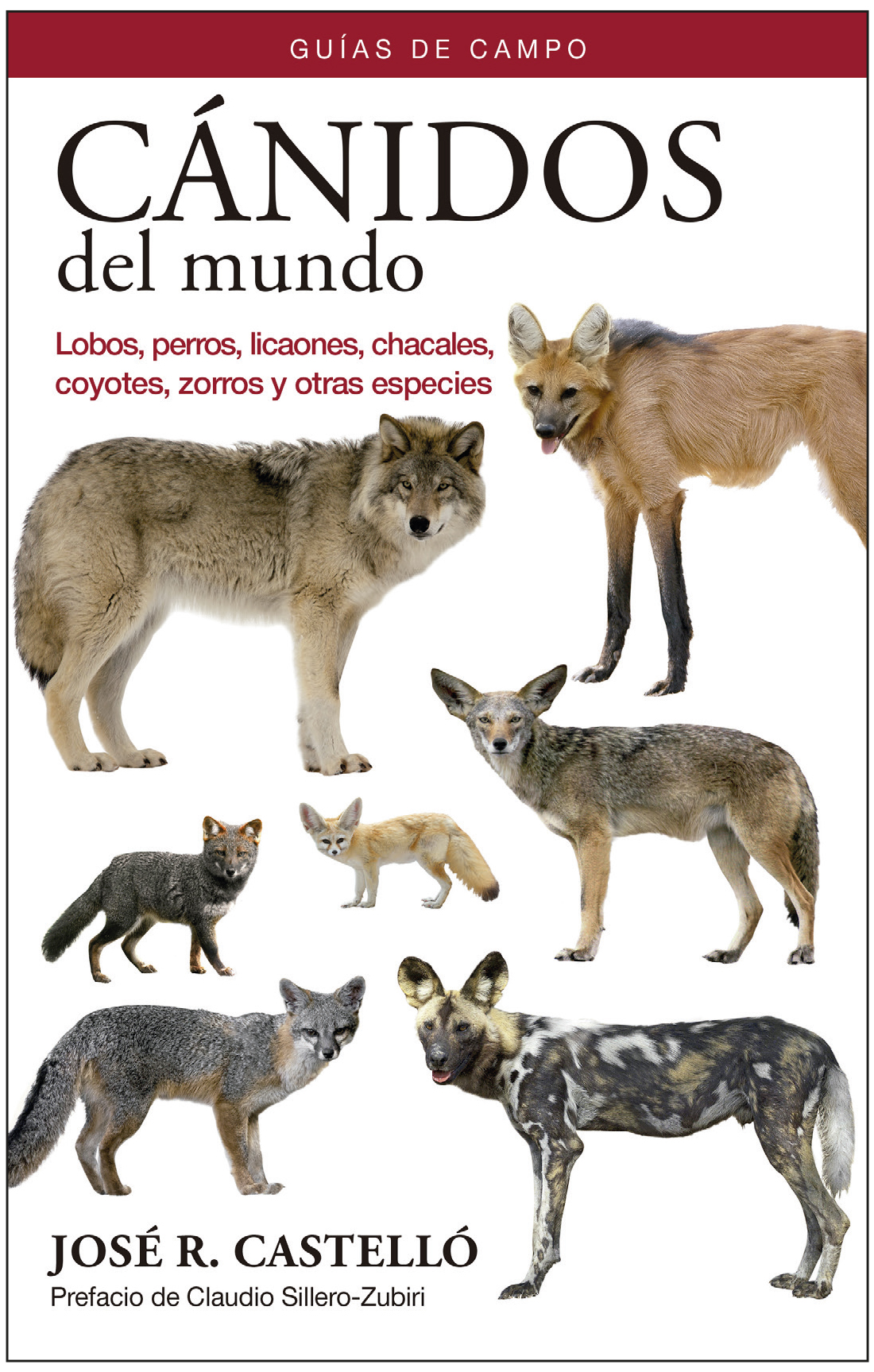 Texto alternativo