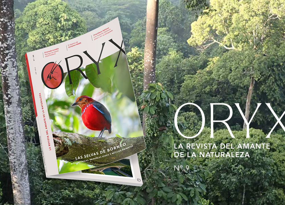 revista ORYX número 9 revista ORYX número 9