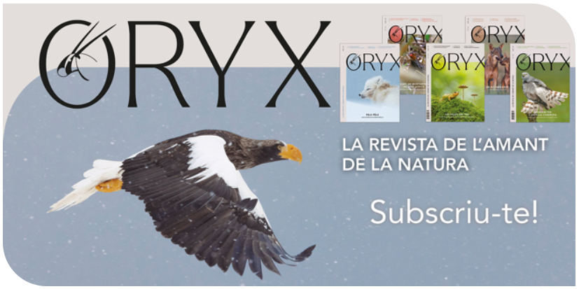 subscriu-te a la revista ORYX