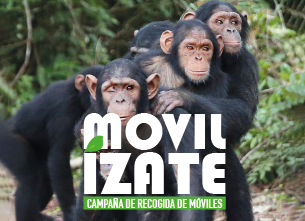 Movilízate por la selva
