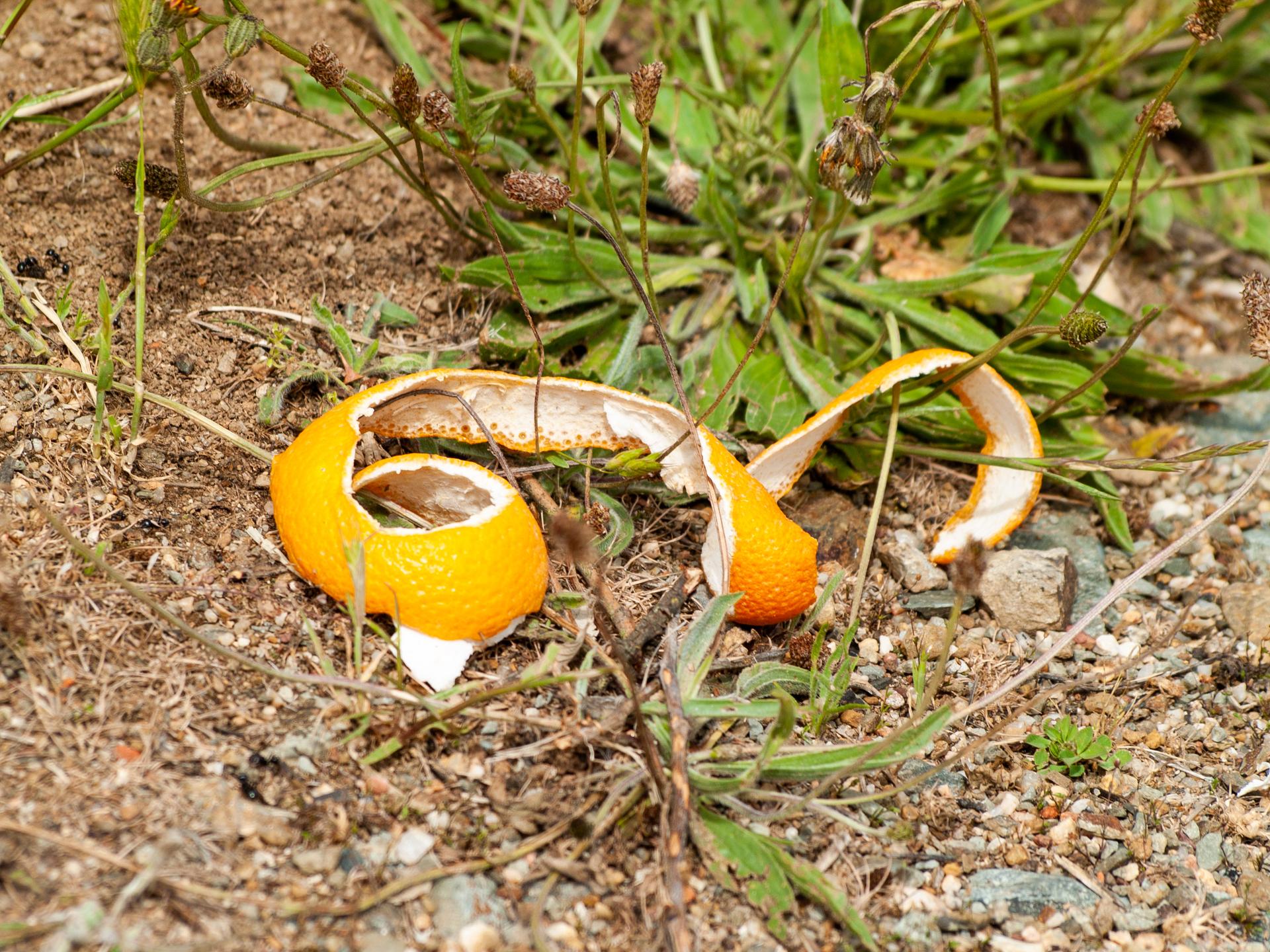 Dí ''no'' a la Basuraleza