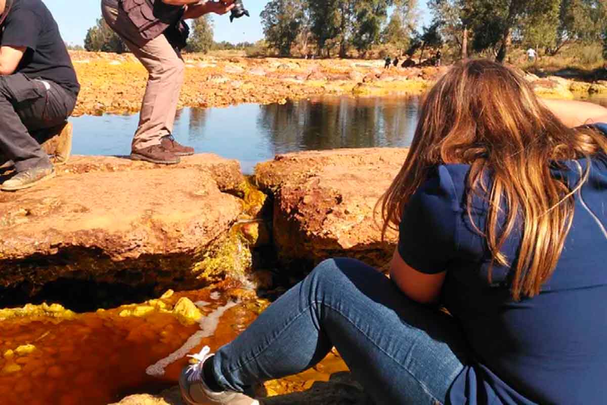 Los jóvenes y la toma de decisiones en el medio rural: una encuesta para conocer su participación en los Grupos LEADER