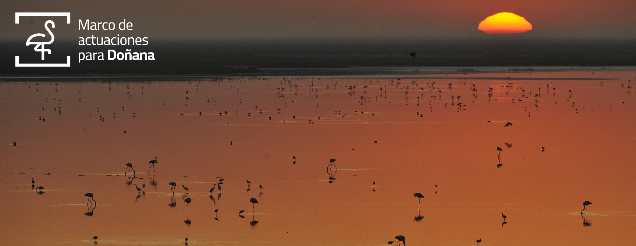 ARA coordinará Doñana Cero Emisiones, un proyecto de descarbonización y economía circular en el Espacio Natural de Doñana