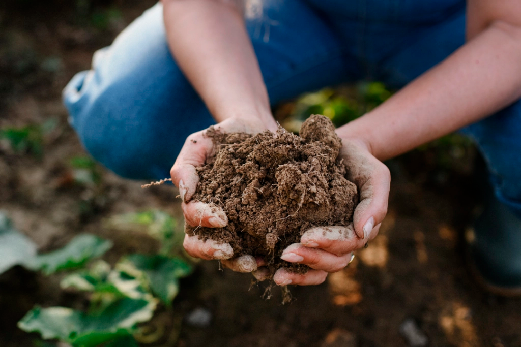 Andalucía, primera comunidad en contar con una ley de impulso y promoción de la producción ecológica