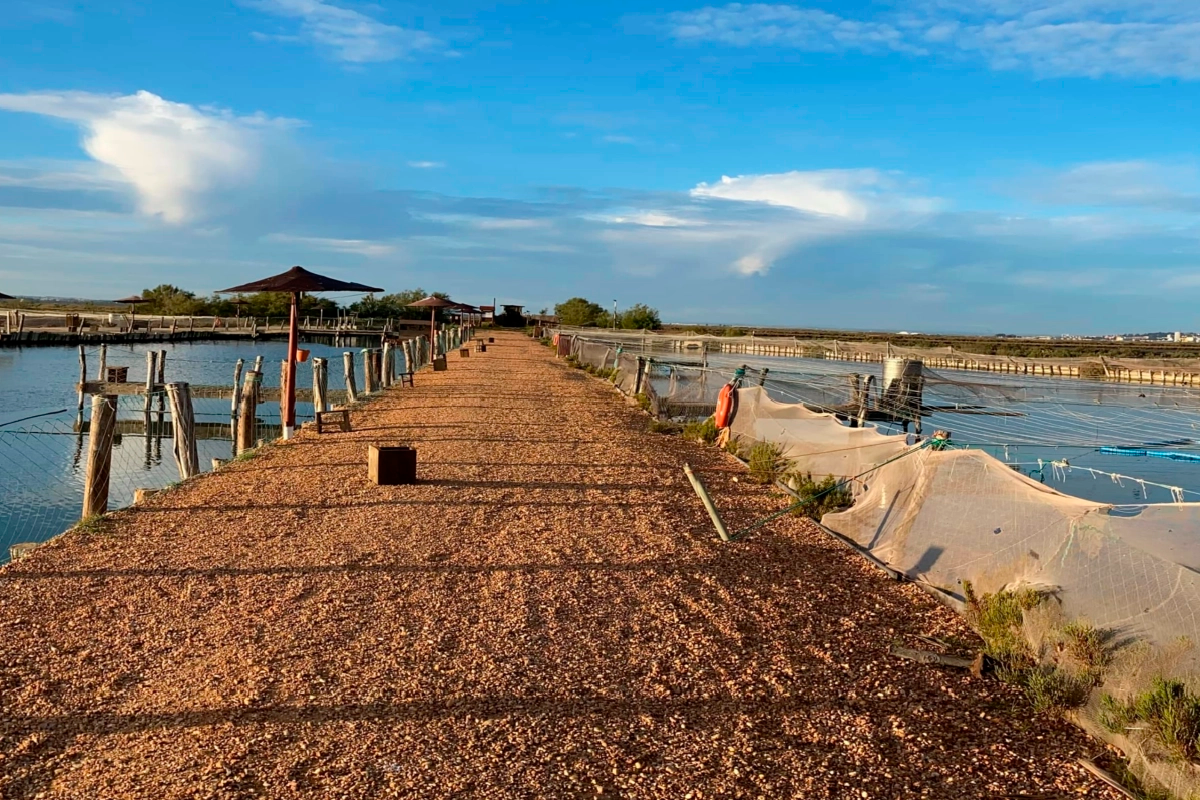 Guadiodiel impulsa con LEADER 67 proyectos en la Costa Occidental de Huelva