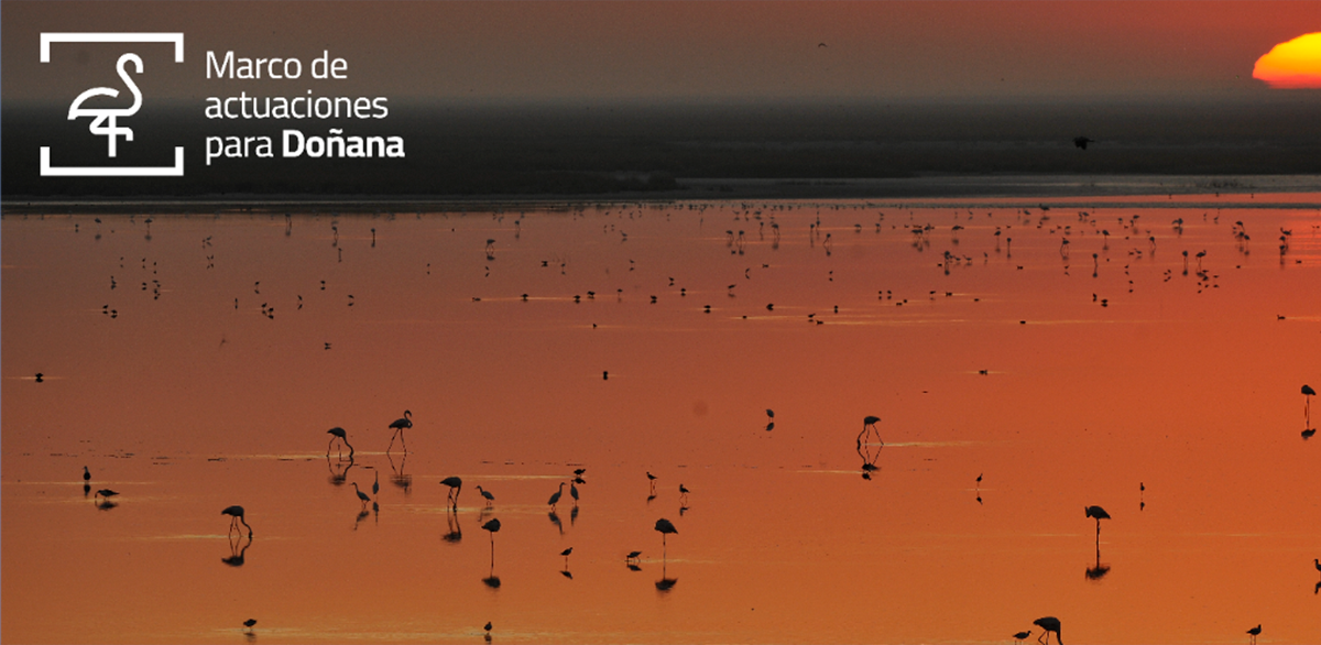 ARA coordinará Doñana Cero Emisiones, un proyecto de descarbonización y economía circular en el Espacio Natural de Doñana