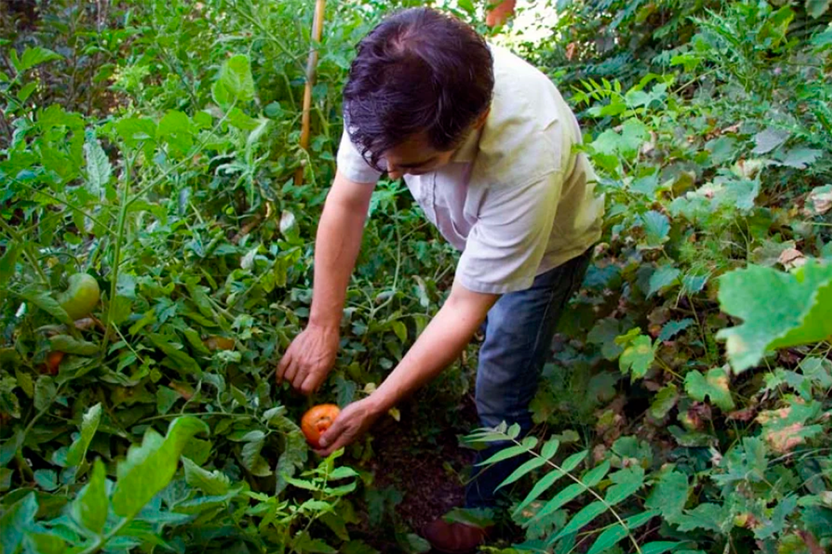 Jornada “Cómo identificar el origen de mis productos y darles valor: reclámalo a lo largo de la cadena alimentaria”
