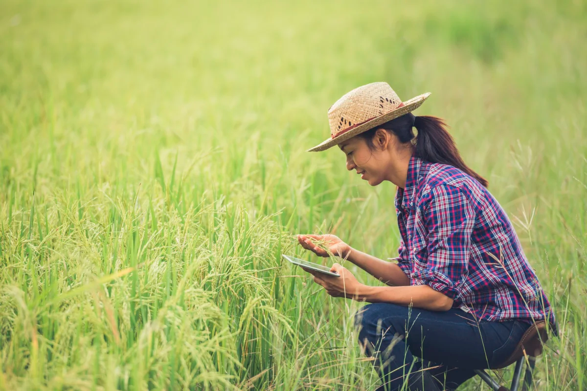 Carbon Farm Hub: Agricultura de carbono y claves para un futuro sostenible