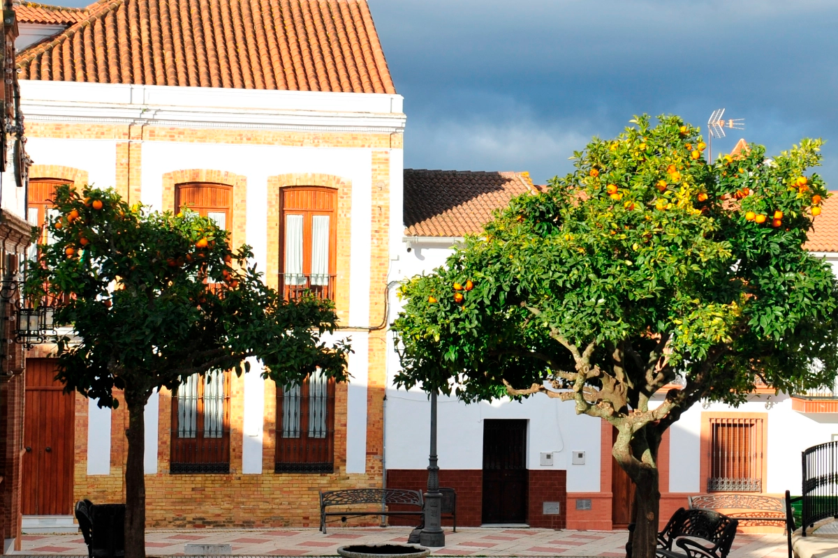 SierraAlimenta Huelva empieza a dar sus frutos con el I Mercado Local en Berrocal