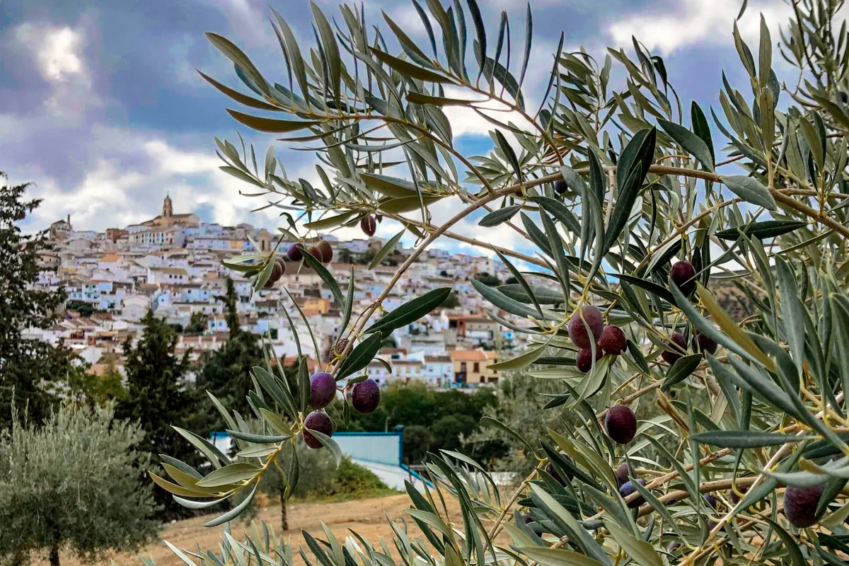 Las empresas agroalimentarias andaluzas se dan cita en el Salón Gourmets