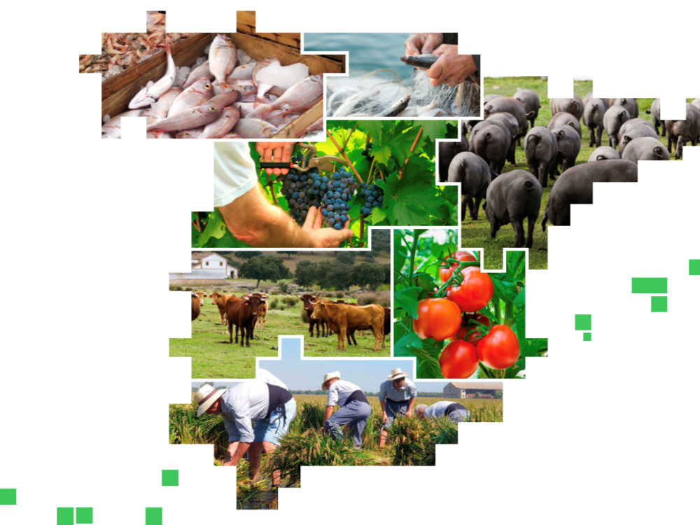 Hacia la transformación del sistema alimentario en España: situación actual, impactos y escenarios de futuro