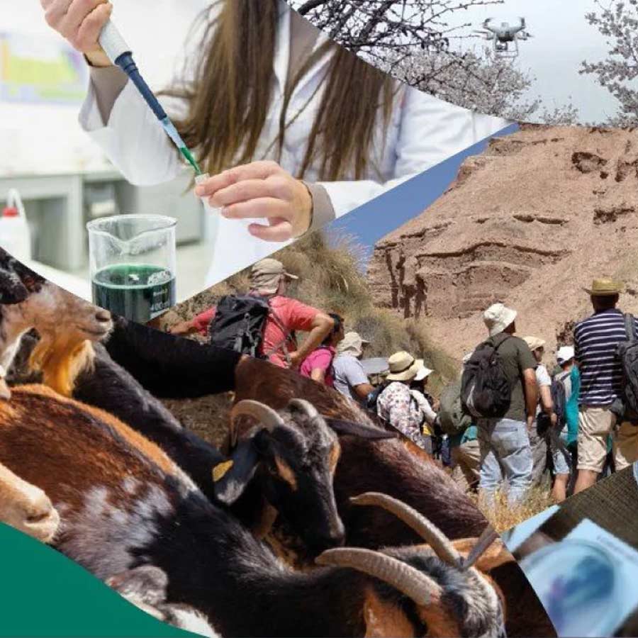 LEADER y el cierre de los Programas de Desarrollo Rural 2014-2022: claves y novedades