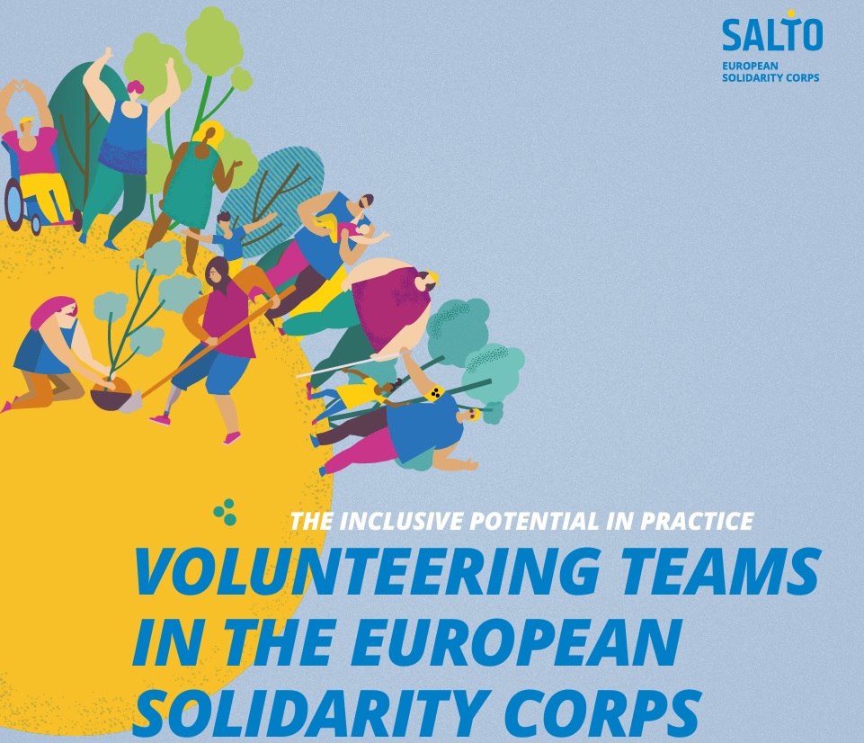 manual inclusion salto