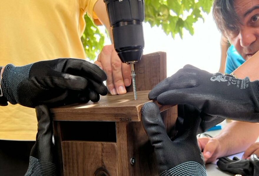 Hi bird teambuilding RSC