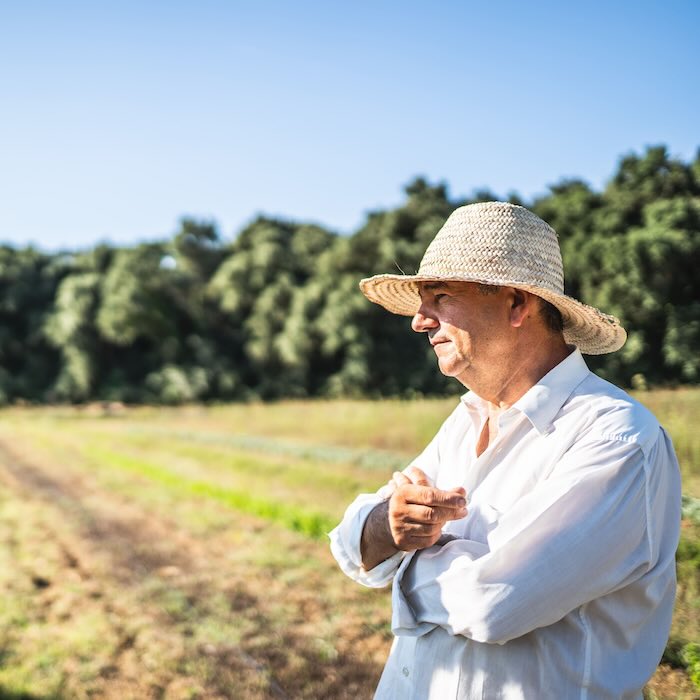 Ayuda a pequeños productores