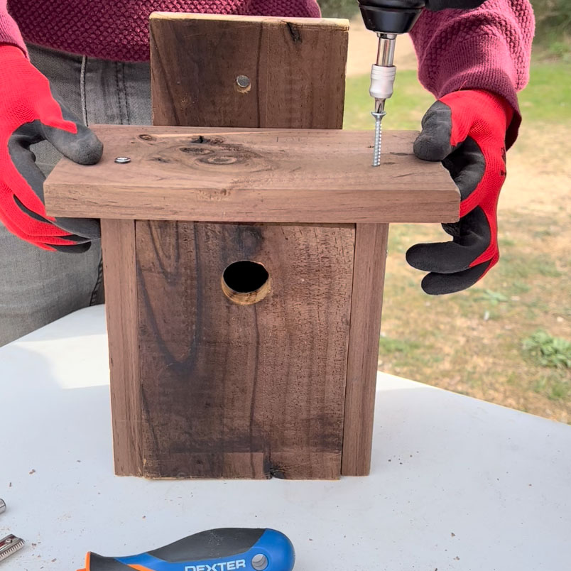 Construcció de caixes niu