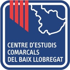 Email Design Workshop