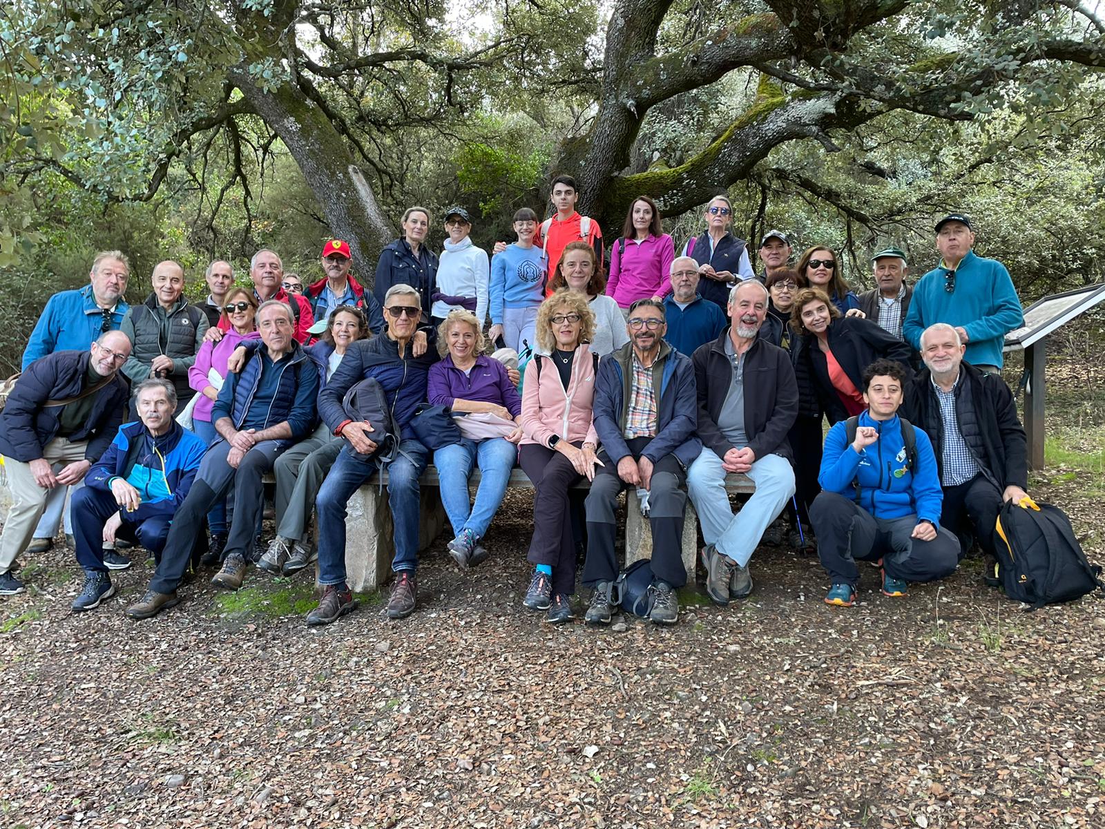 Masks hanging on a clothes line.