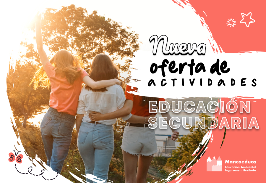 Texto alternativo
