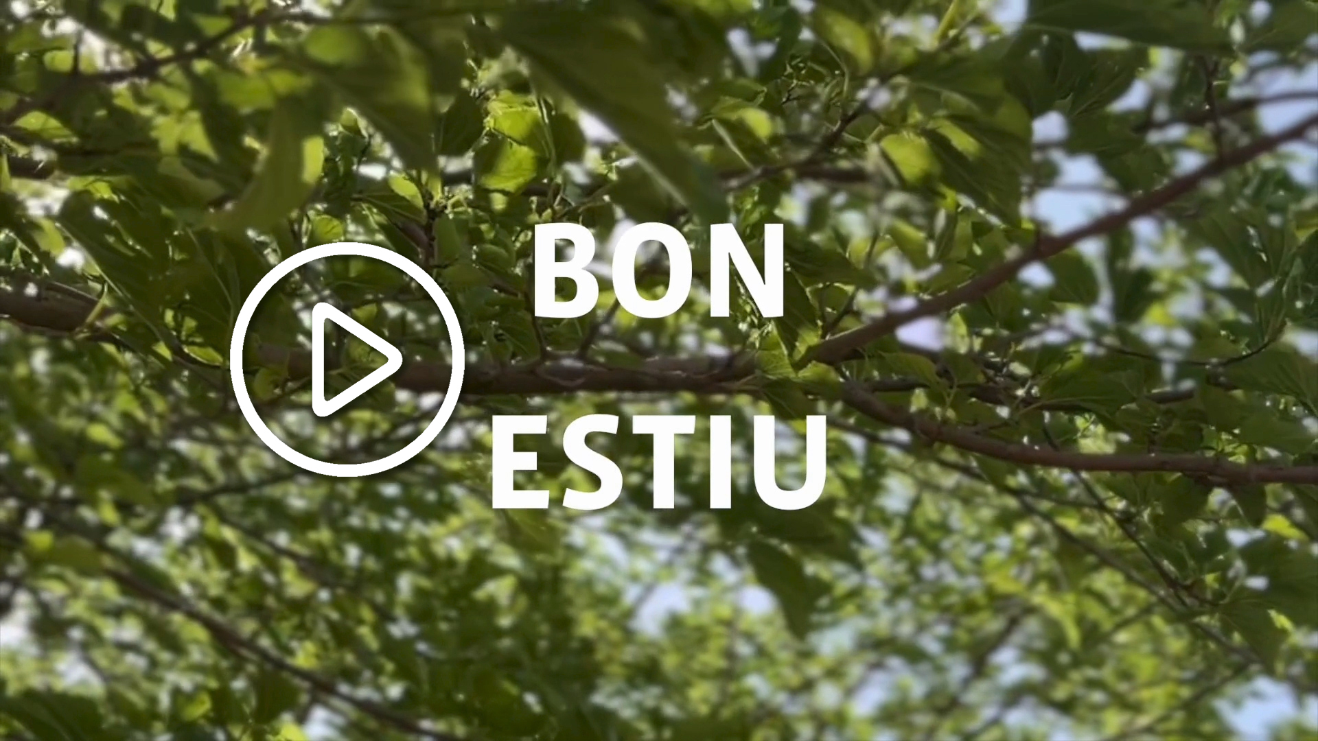 Bon estiu!