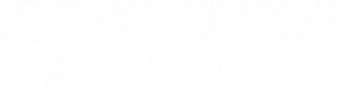 Memòria FVCE 2024-2025