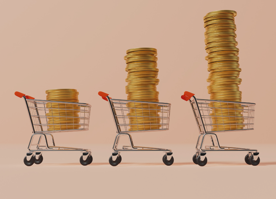 Informe Cesta de la Compra de EAPN-ES